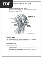 IJV vs EJV: Key Differences Explained | PDF | Vein | Human Anatomy