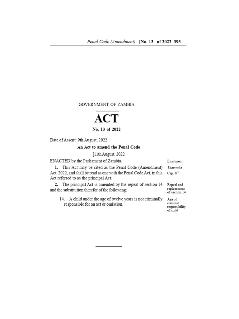 The Penal Code Amendment Act No. 13 of 2022 | PDF