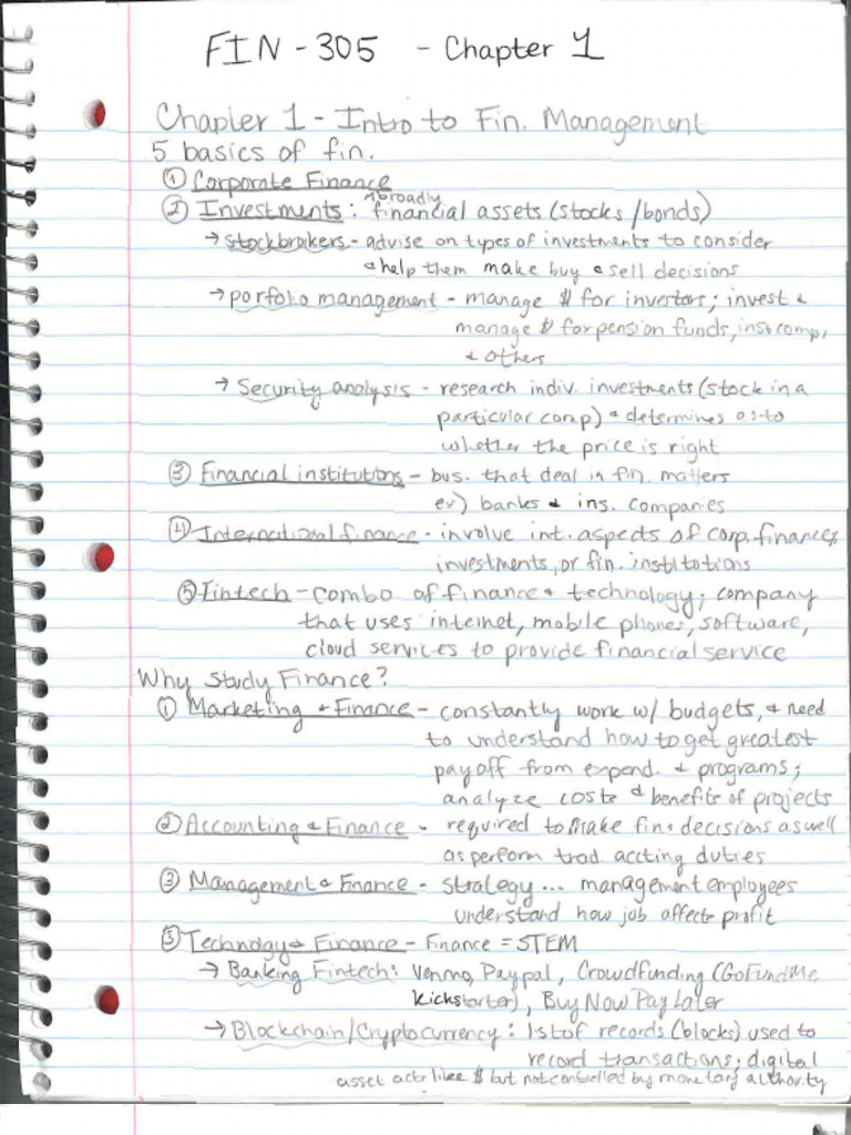 Chapter 1 Notes - Handwritten | PDF