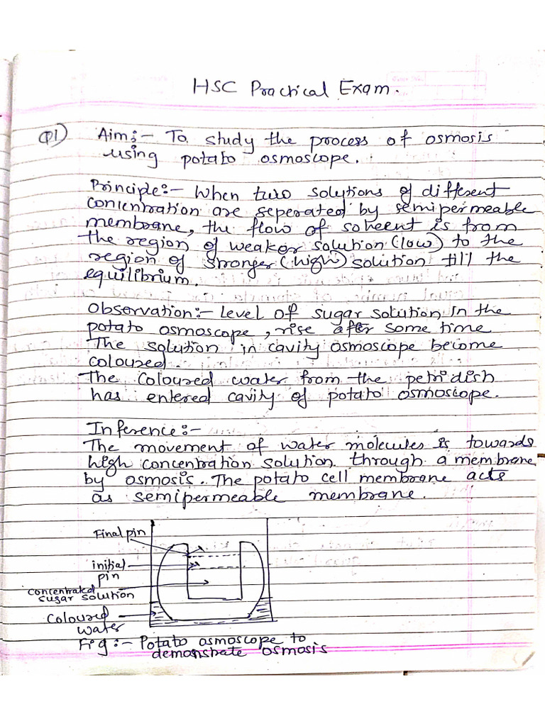 HSC Practical Answer Paper | PDF