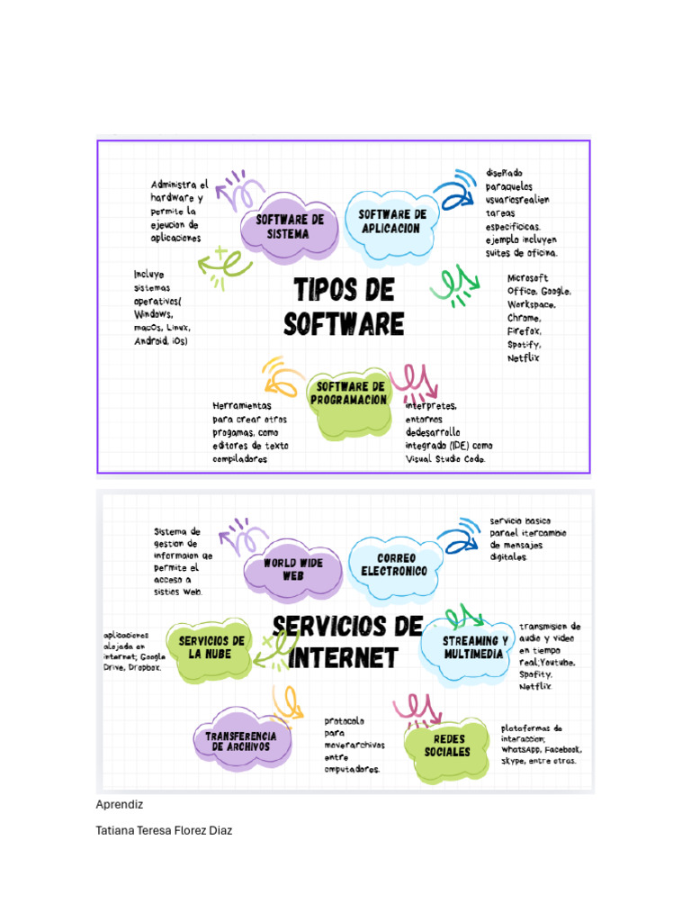 Mapa Mental Sobre Software y Servicio de Internet | PDF