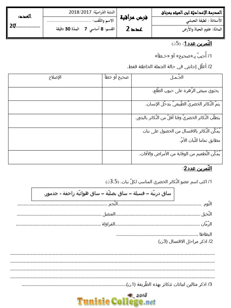 SC3 | PDF