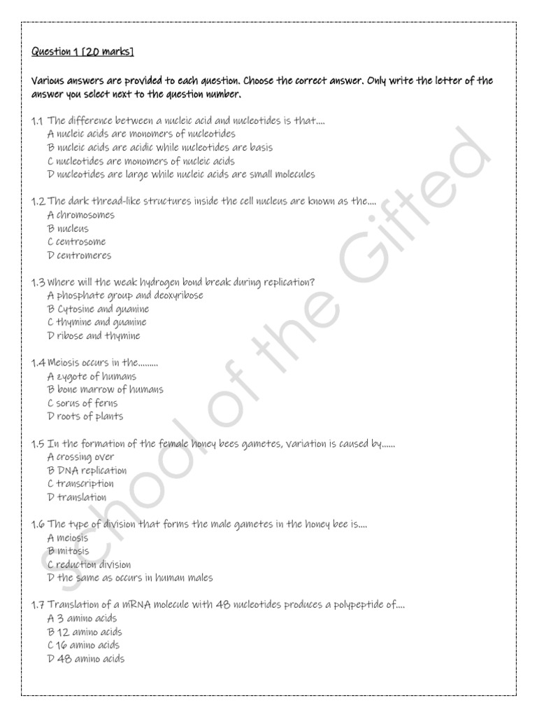 Genesis Test 1 - 101959 | PDF | Meiosis | Genetics