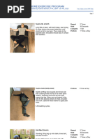 Sciatica Home Exercise Guide | PDF