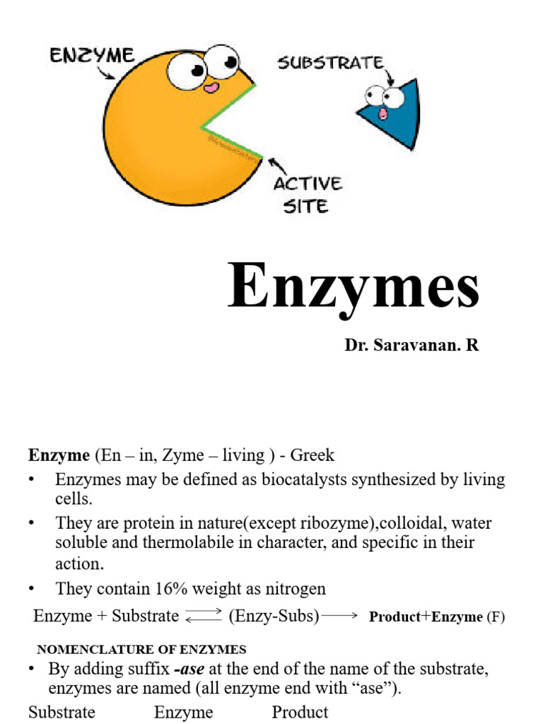 Enzy BDS | PDF | Enzyme Inhibitor | Enzyme