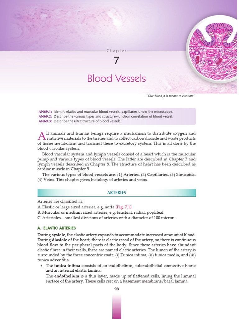 9789354665707 s | PDF | Artery | Capillary