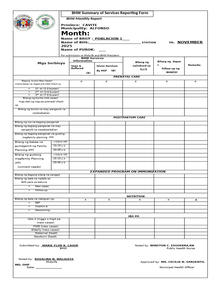 BHW Accomplishment Report Form | PDF