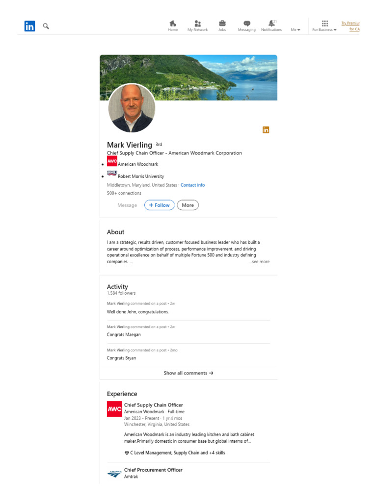 Mark Vierling - LinkedIn | PDF | Economies | Business