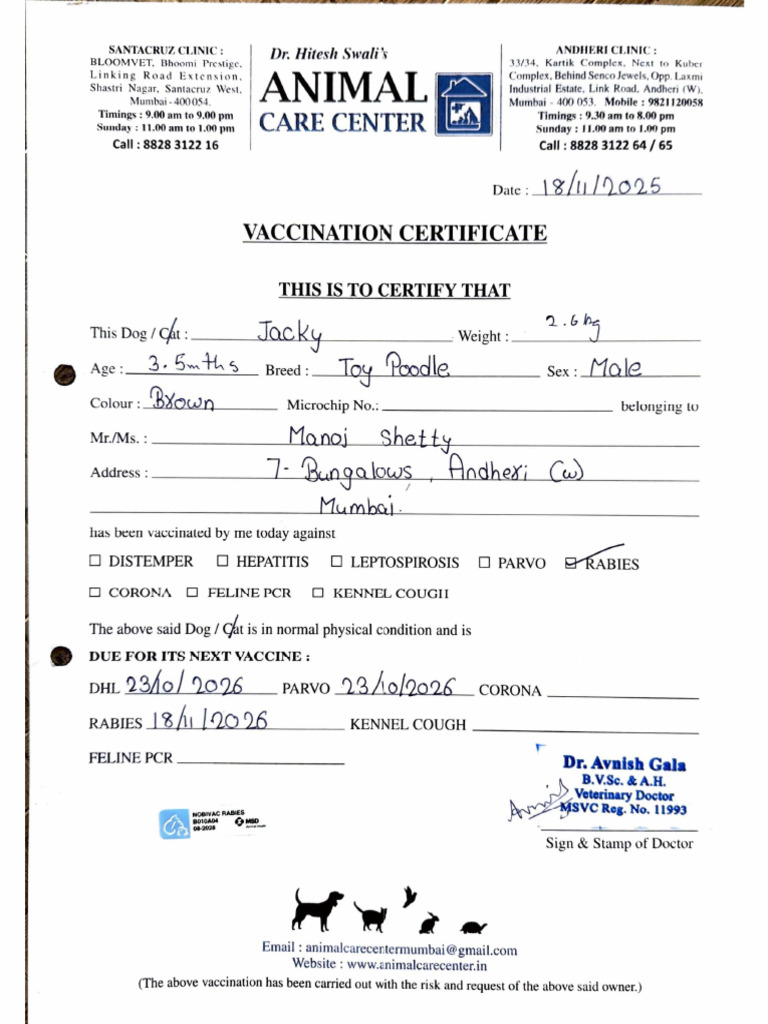 Rabies | PDF