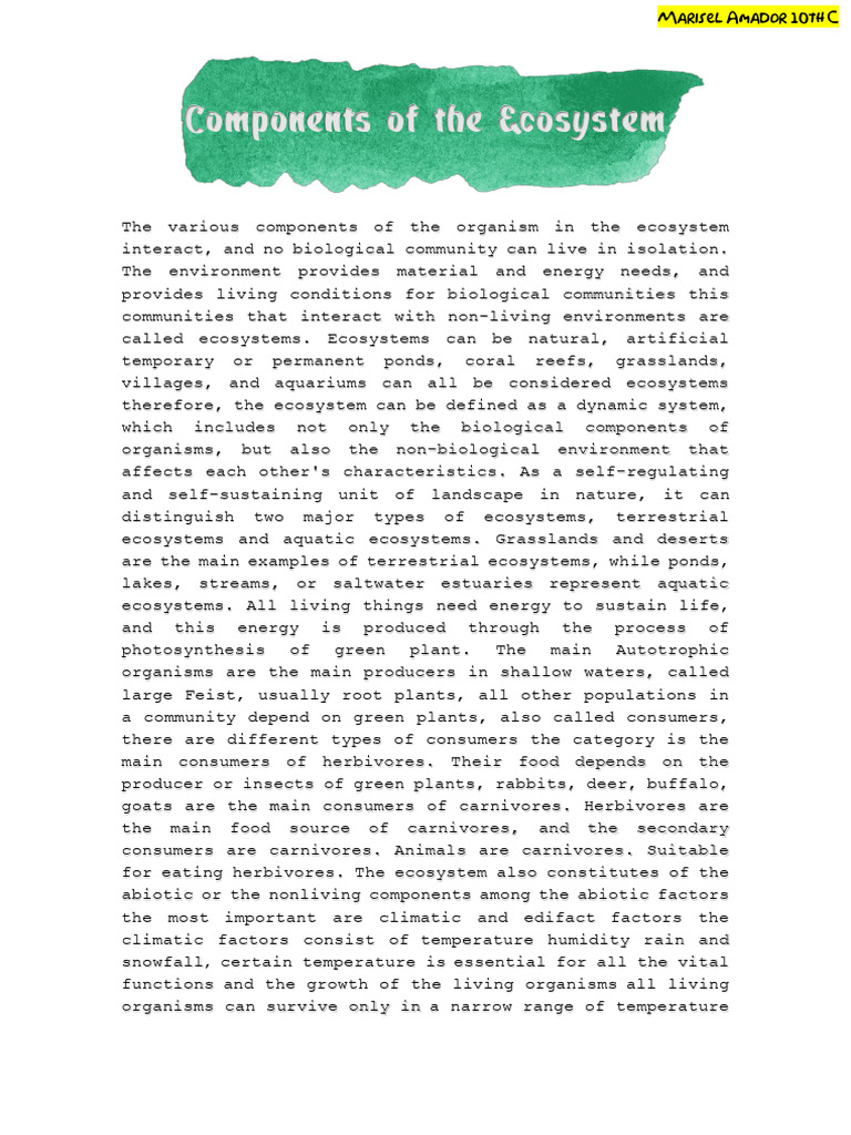 Components of The Ecosystem | PDF | Ecosystem | Plants