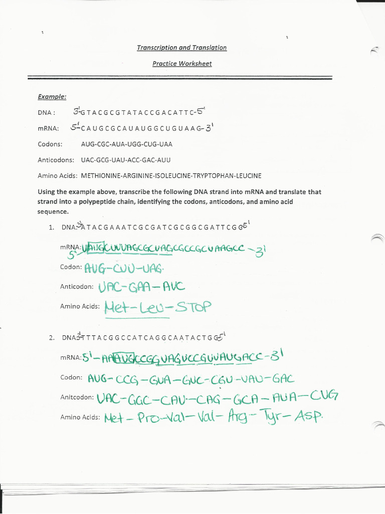 Transcrip&Transl | PDF