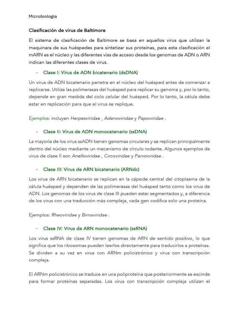 Clasificación de Los Virus | PDF | Virus | La transcriptasa inversa