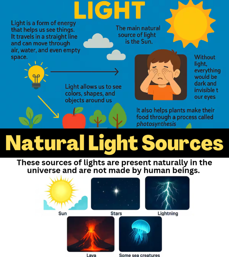 Light | PDF