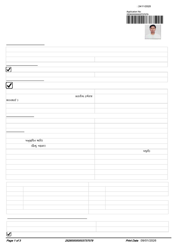 Report | PDF