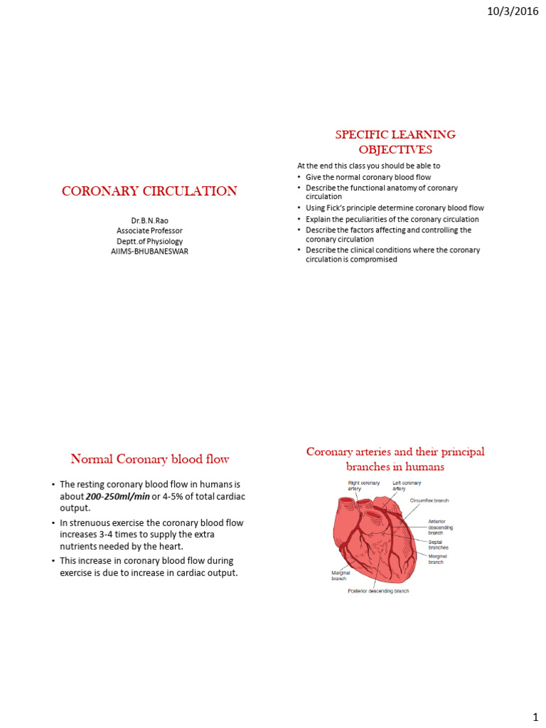 5coronary Circulation | PDF