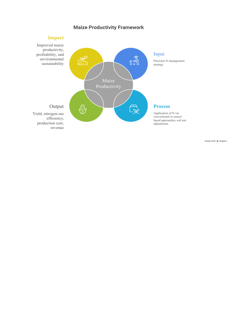 Conceptual Framework | PDF