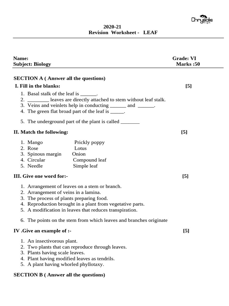 6 Biology Revision Leaf UT 2 | PDF | Leaf | Plants