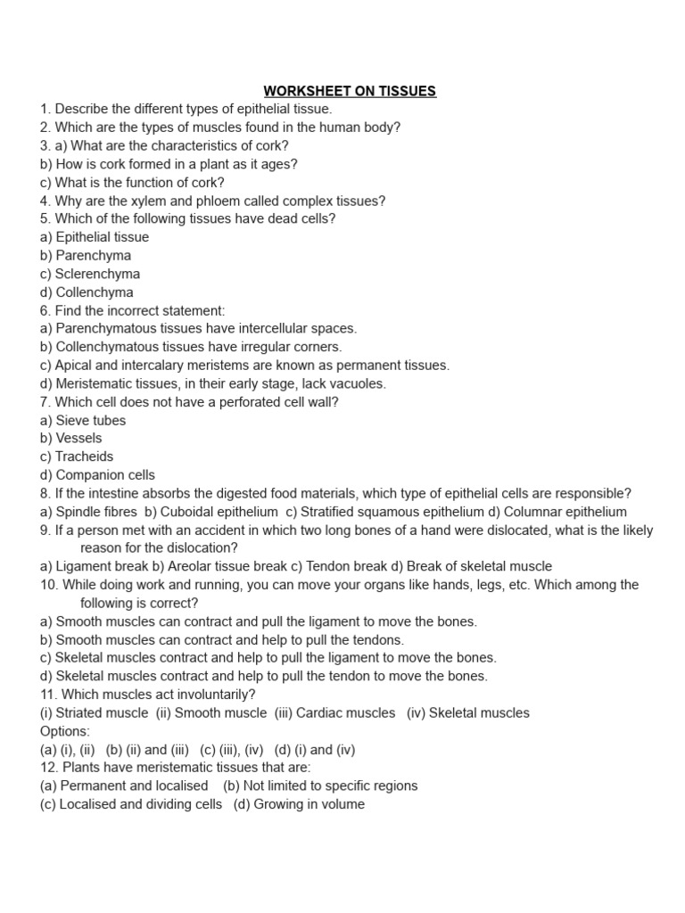 Worksheet On Tissues 9th | PDF | Tissue (Biology) | Epithelium