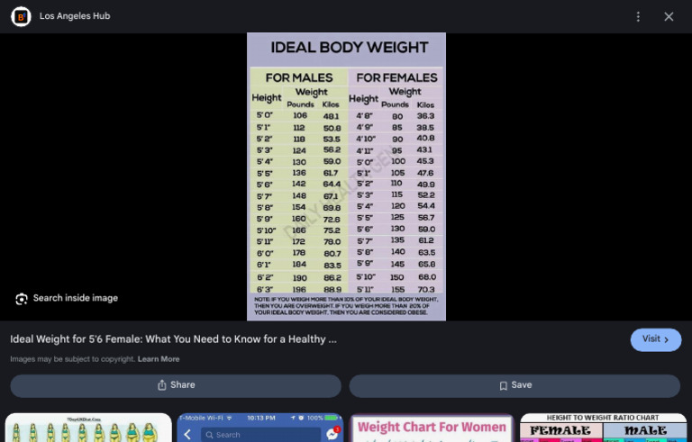 5'6 Normal Weight - Google Search | PDF