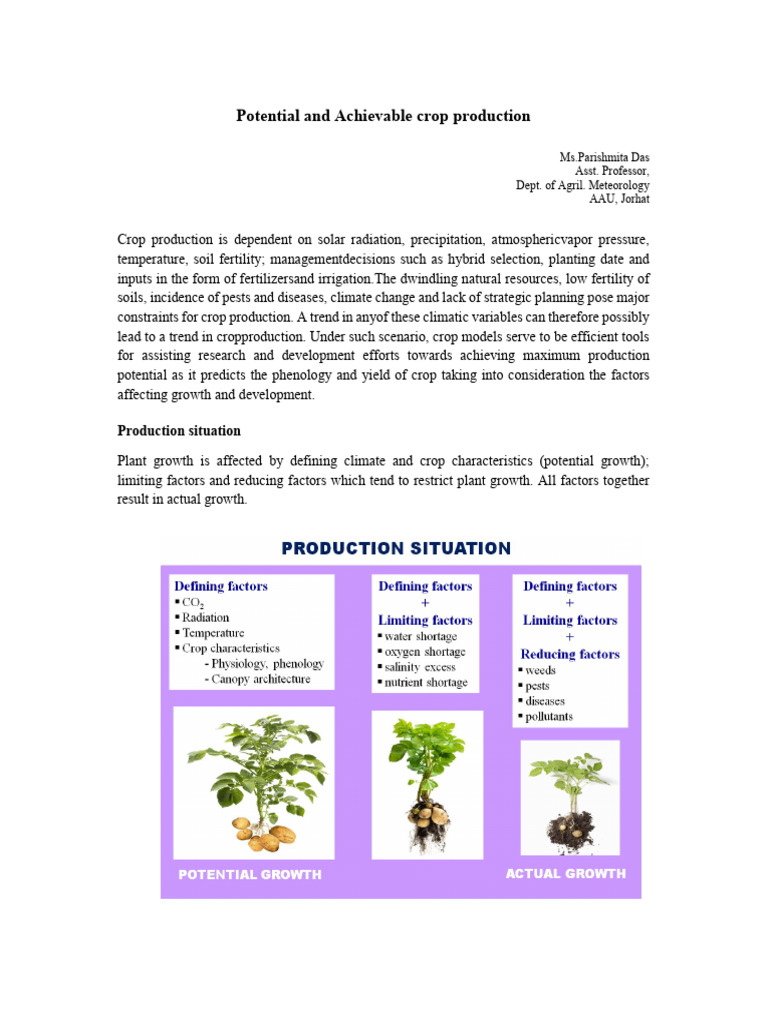 Write Up - Potential & Achievable Crop Production | PDF