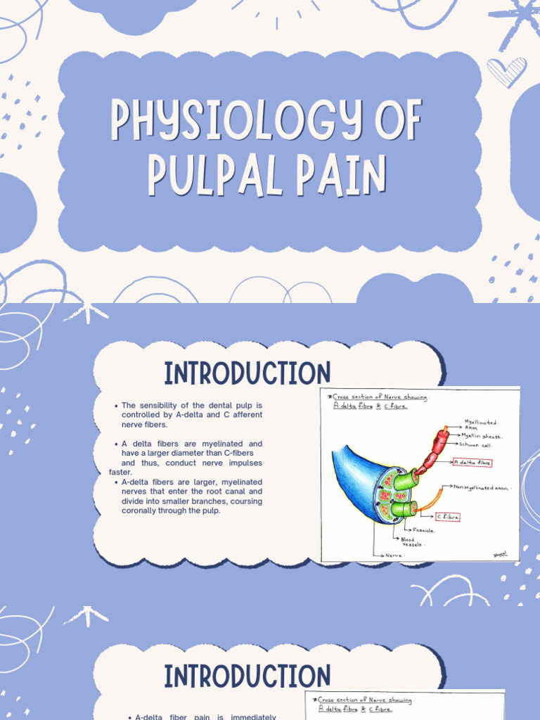 Physiology of Pulpal Pain | PDF | Clinical Medicine | Mouth