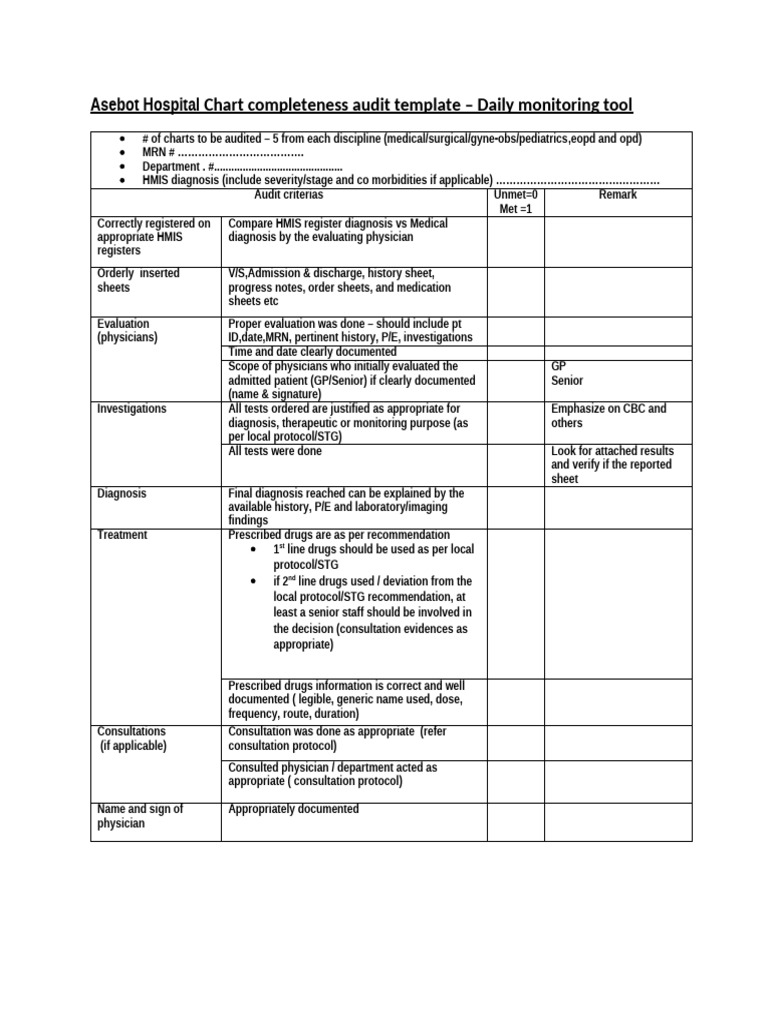 Audit Template For Daily Chart Completenness-1 | PDF | Social Programs ...