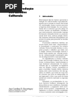 Introdução aos Estudos Culturais