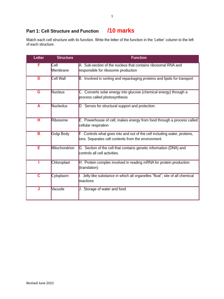 Part 1 Cell Structure and Function Completed | PDF
