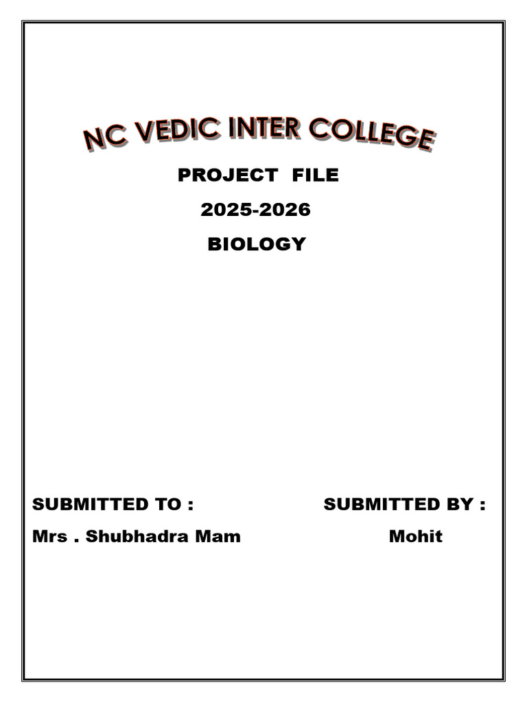 Project File | PDF