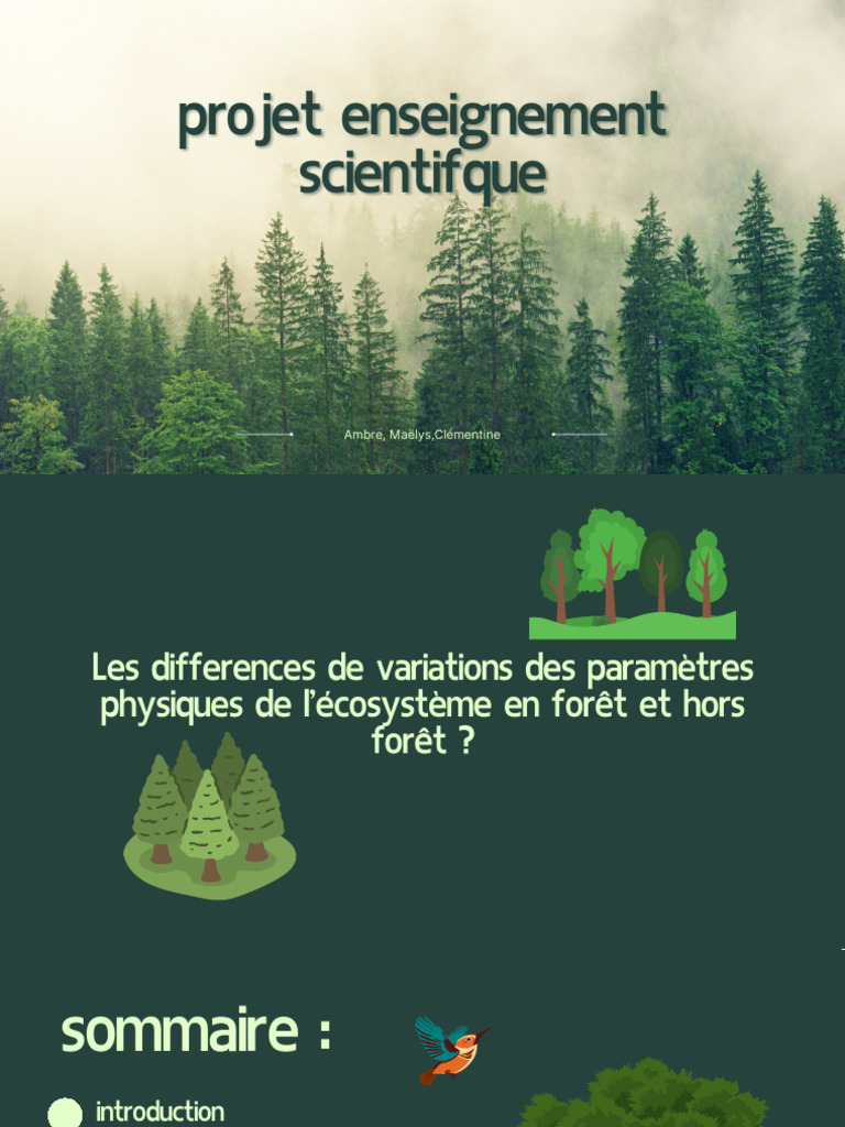 Projet Enseignement Scientifque | PDF