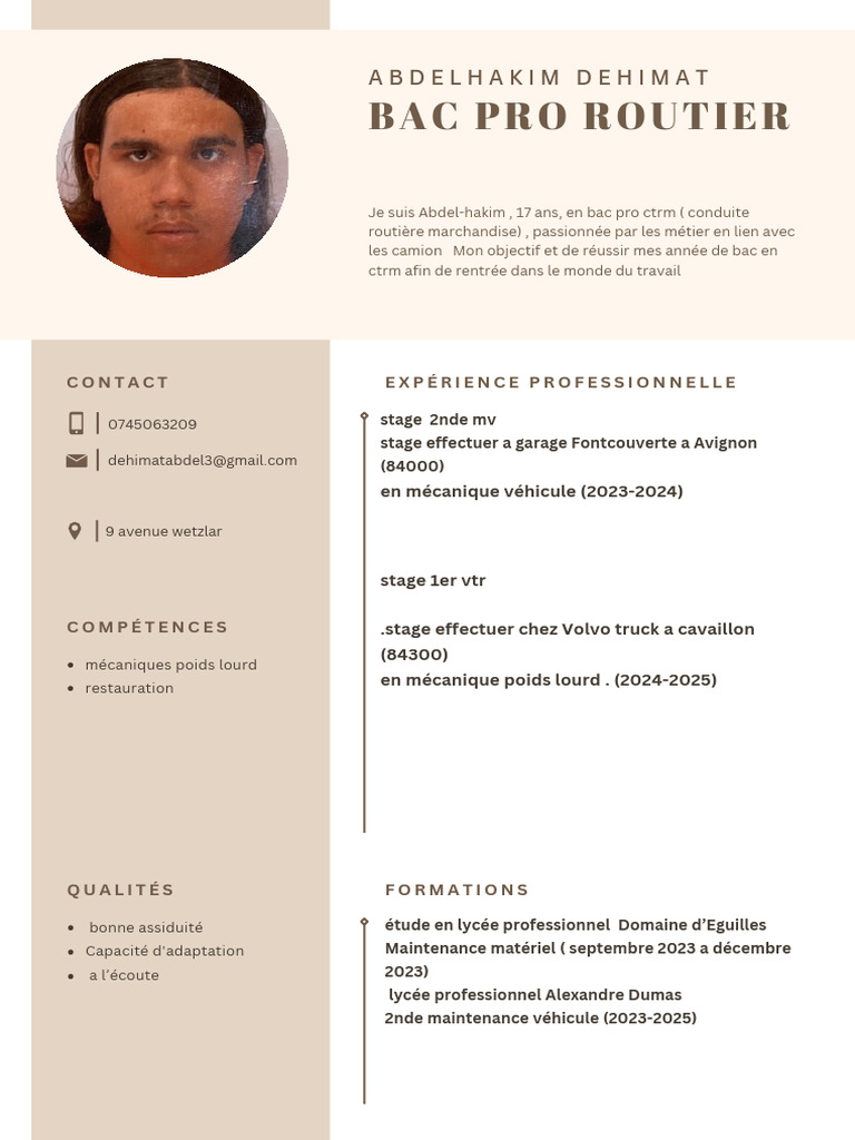 CV Français Professionnel Marron Simple | PDF