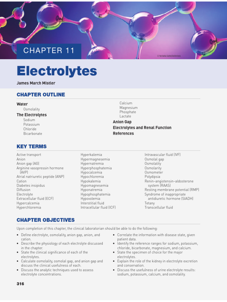 CC Electrolytes | PDF | Angiotensin | Kidney