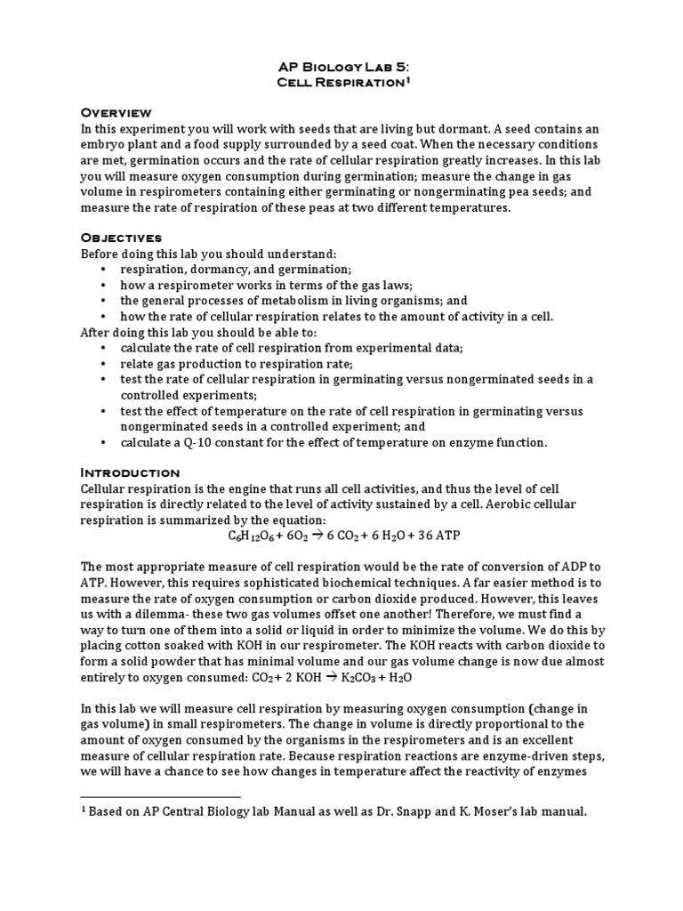 Apbiolab5 Repiration Pdf Seed Cellular Respiration