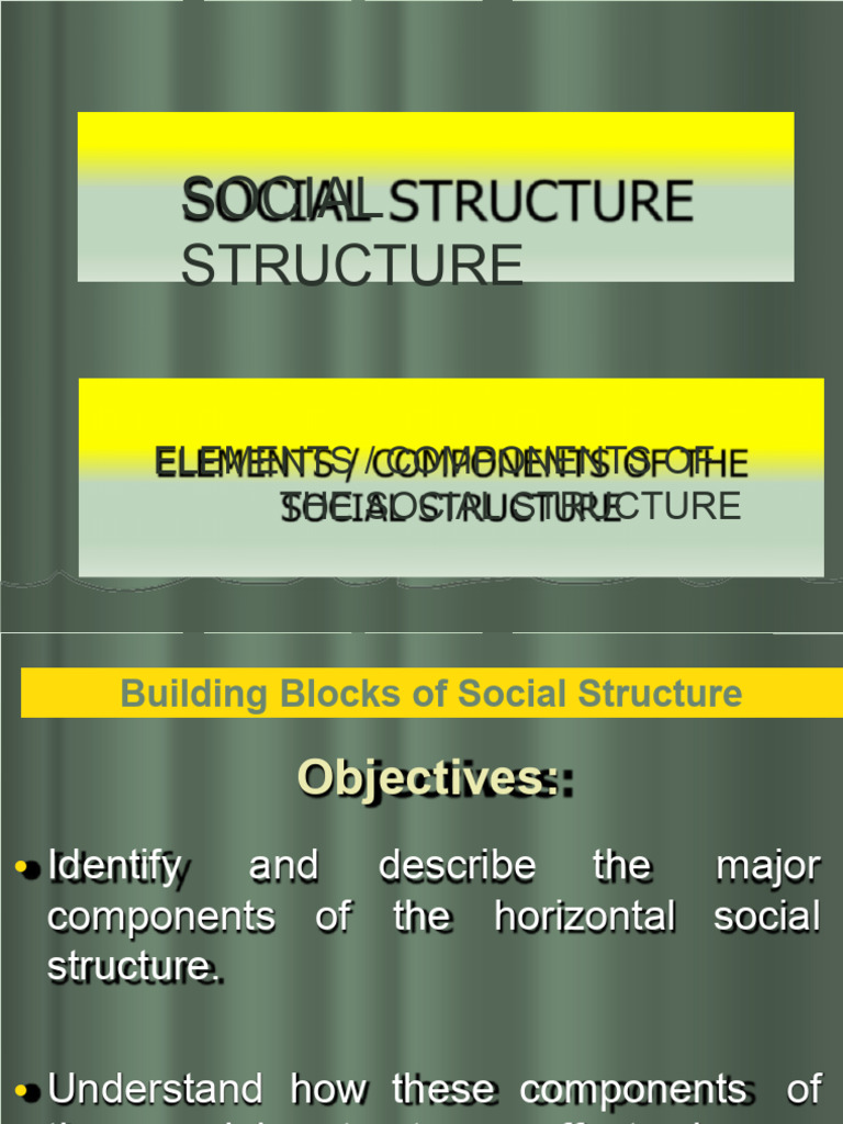 Social Structure and It's Components | PDF | Social Status | Capitalism