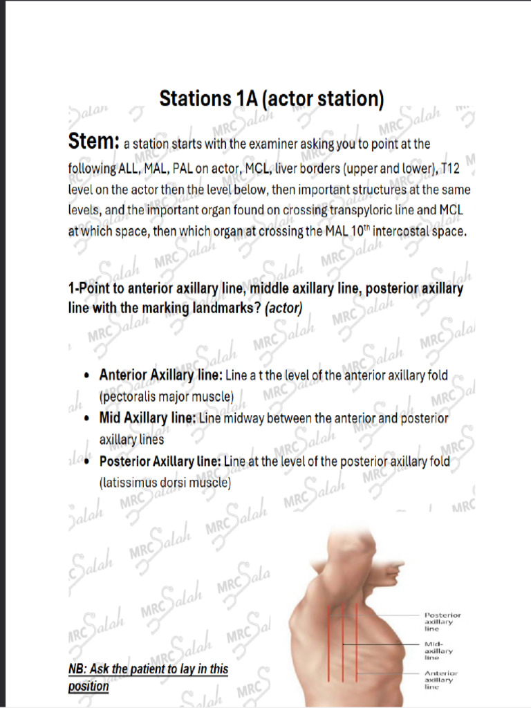 Surface Markings | PDF
