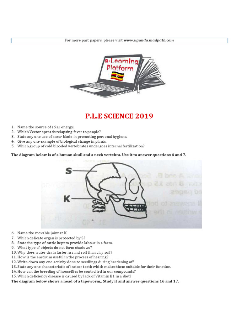 2019 PLE Science Past Paper | PDF | Sound | Plants