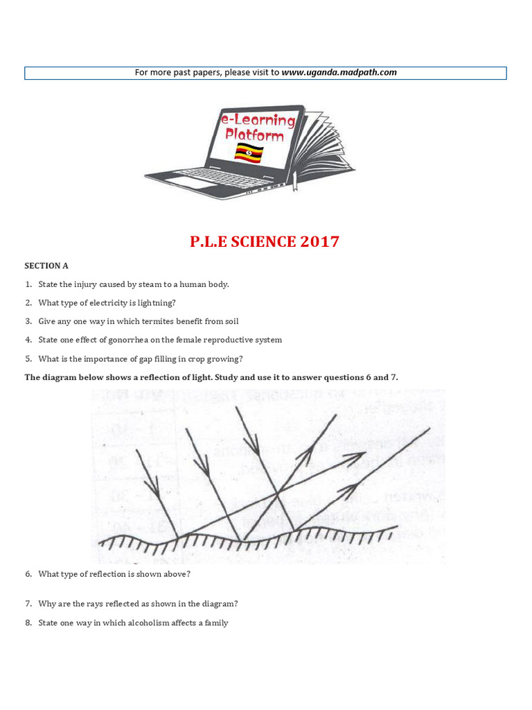 2017 PLE Science Past Paper | PDF | Seed | Germination