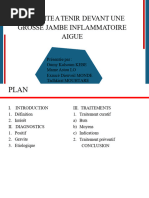 Traitement des dermohypodermites bactériennes | PDF | Spécialités ...