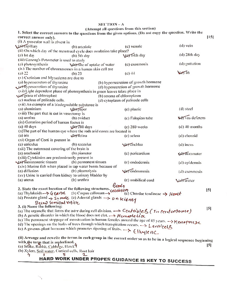Biology Answer Key | PDF