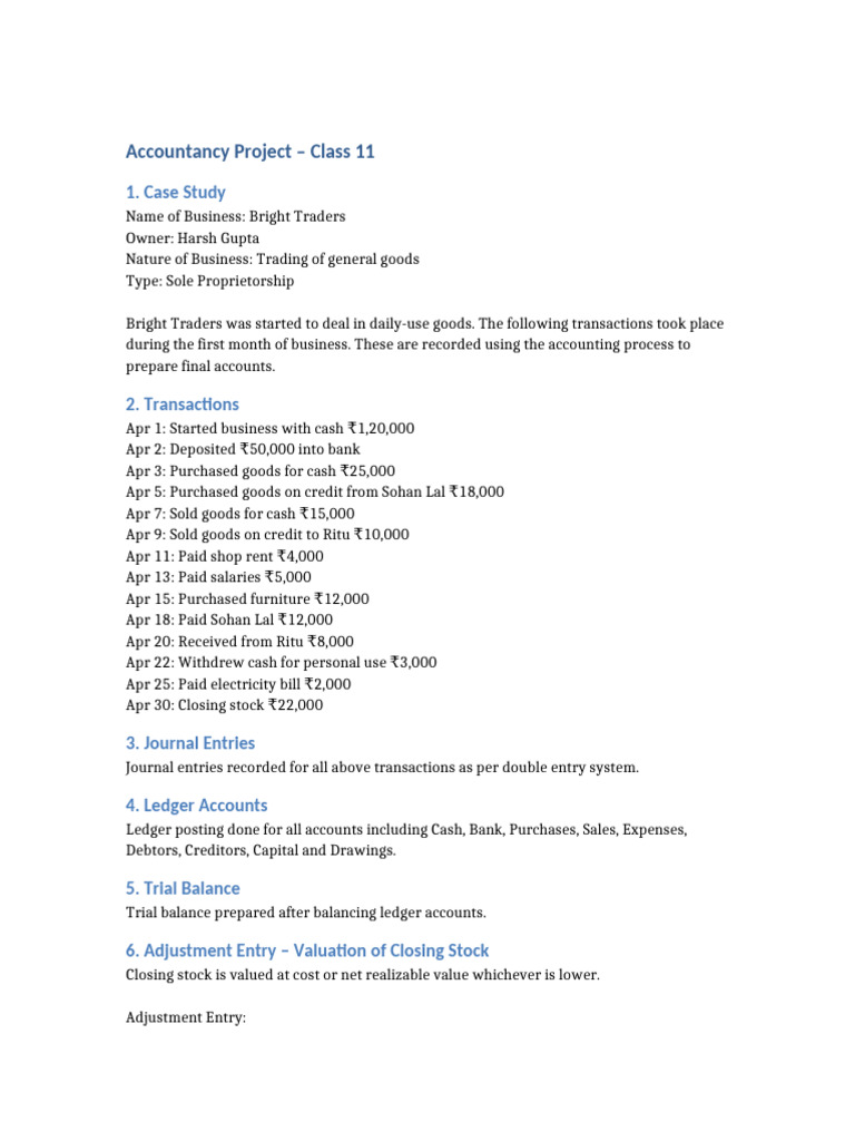 Class 11 Accountancy Project | PDF