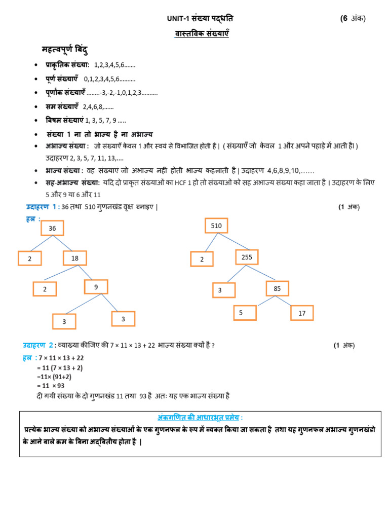 Maths (Hindi Medium) - 10 MUST DO | PDF
