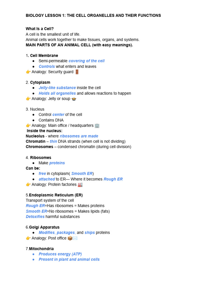 Biology | PDF | Meiosis | Mitosis