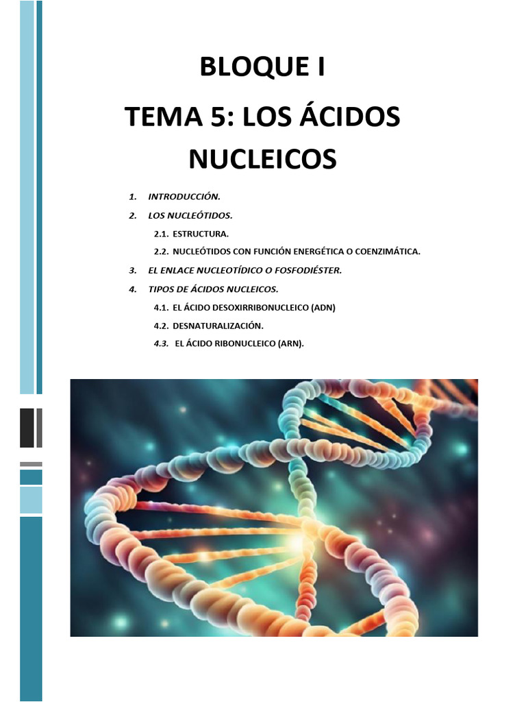 Ácidos Nucleicos | PDF | Rna | Adn