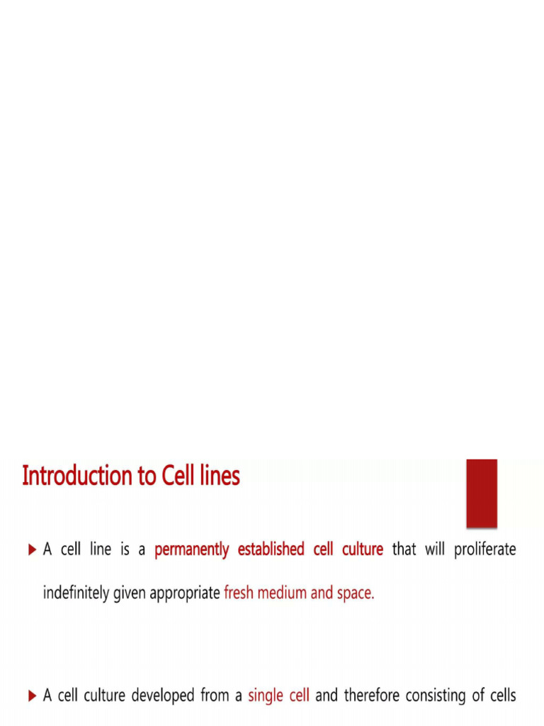 Cell Lines | PDF