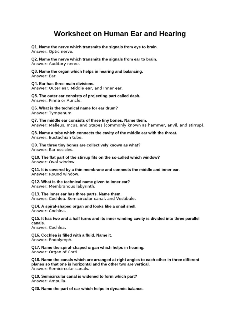 Ear and Hearing Worksheet | PDF | Ear | Hearing