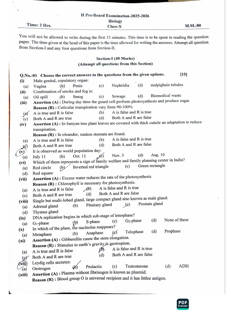 ACE Scanner - 2026 - 01 - 14 | PDF