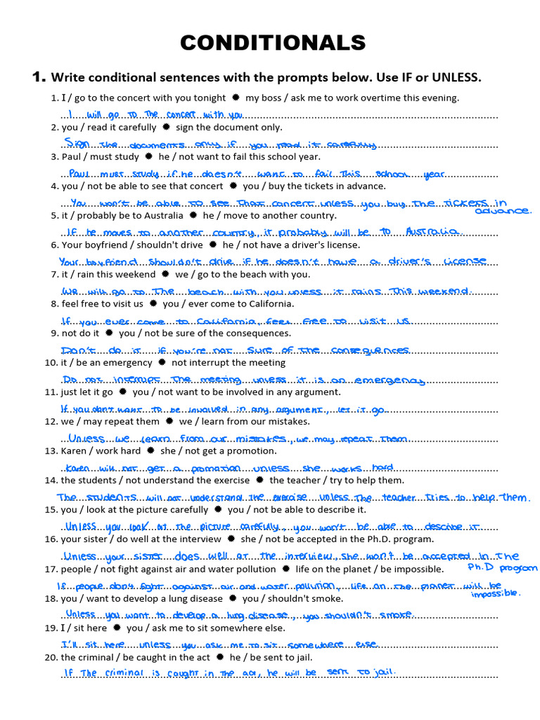 Conditionals Practice 1 5 | PDF