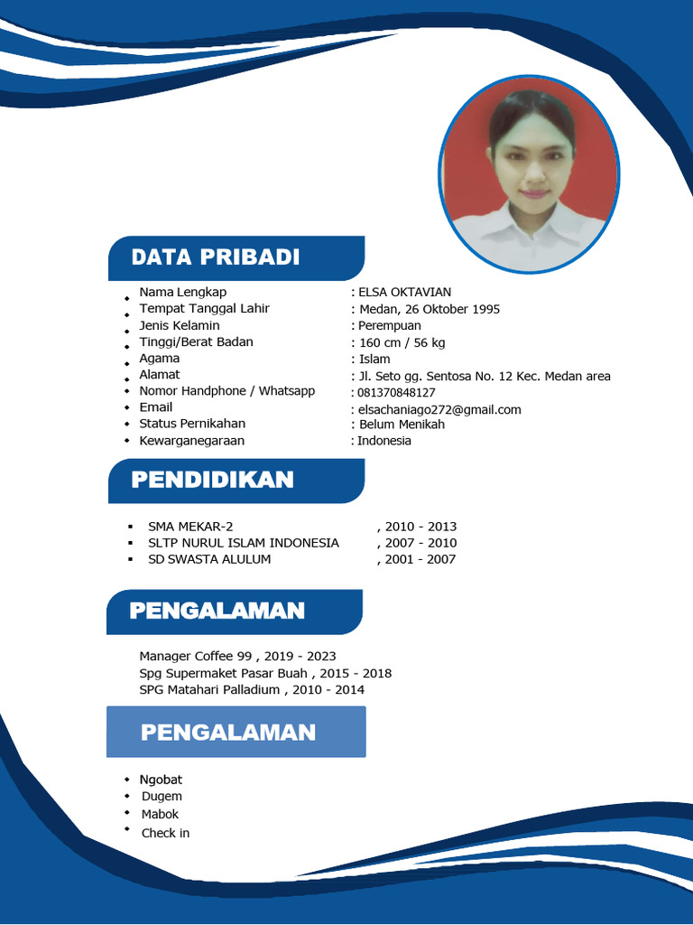 CV Elsa Edit | PDF