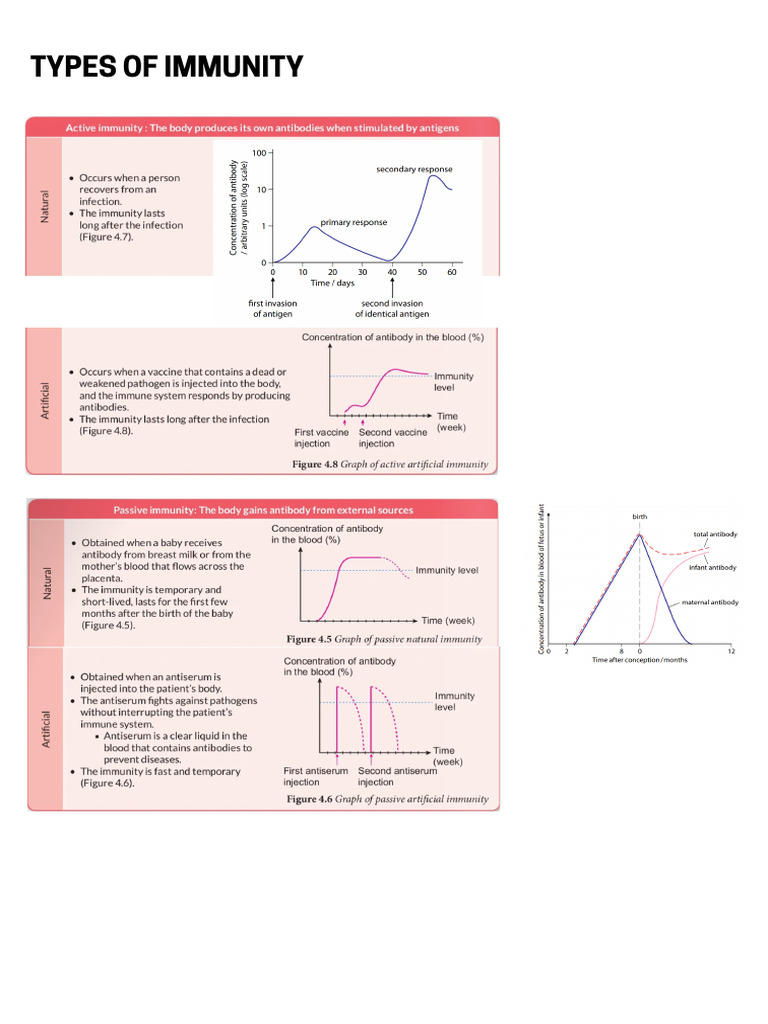 Fatimah - Bio - Types of Immunity Notes | PDF