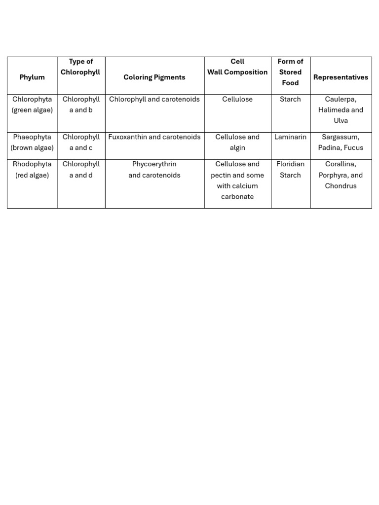 Phylum | PDF